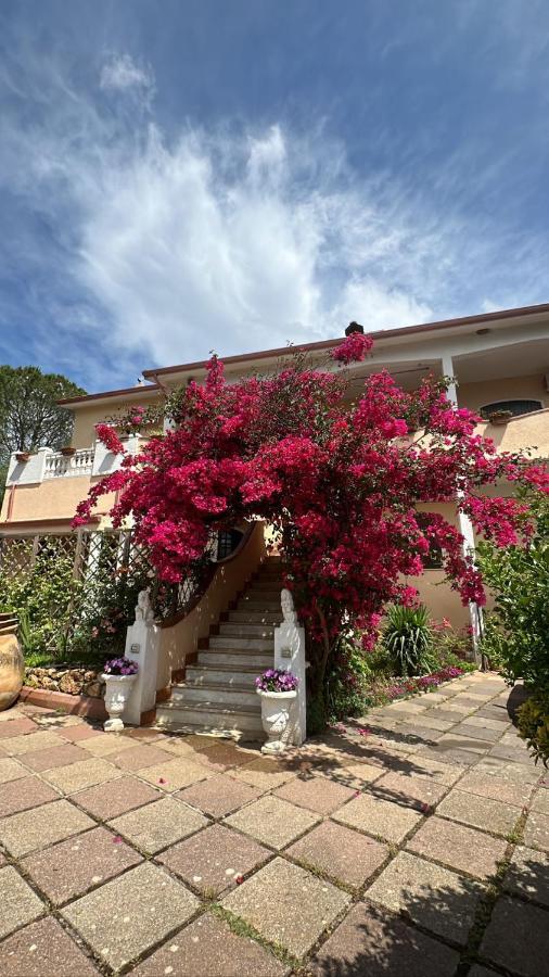 Casa Vacanze La Brii イグレージアス エクステリア 写真
